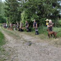 IMG-20260531-WA0003