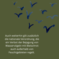 Bleischrot - 7