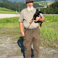 jagdterrier_brauchbarkeit