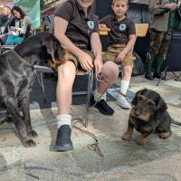 2025_Jagd-in-der-Weberzeile_Bezirk-Ried-42 2025_Jagd-in-der-Weberzeile_Bezirk-Ried-42