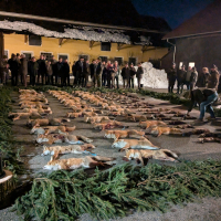 PXL_20260130_173228960