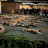 PXL_20260130_173846411