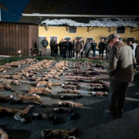 PXL_20260130_175717239