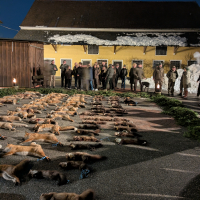 PXL_20260130_175732204.NIGHT_