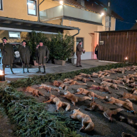 PXL_20260130_175912745