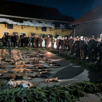 PXL_20260130_180154859