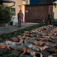 PXL_20260130_180210581