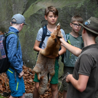 UU_SchuleJagd_Alberndorf_14