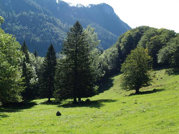 Bezirk Steyr, OÖ LJV