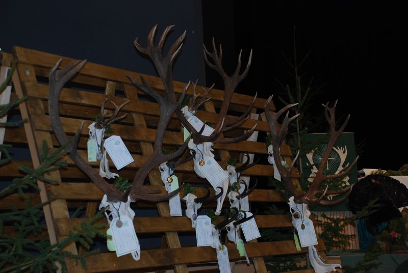 Bezirksjägertag Gmunden 2013, OÖ LJV