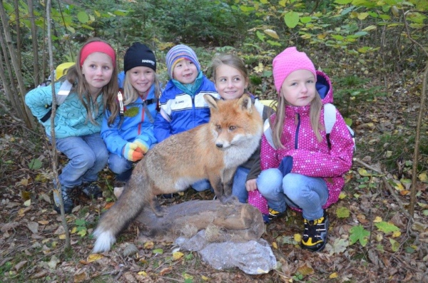 Schule & Jagd in Peilstein – Wandertag der Volksschule, OÖ LJV