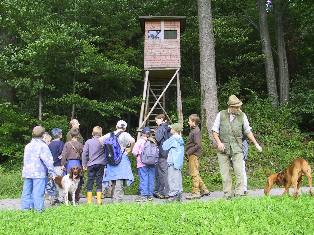 Lehrausgänge mit den Volksschulen Bruckmühl, Ottnang und Thomasroith., OÖ LJV