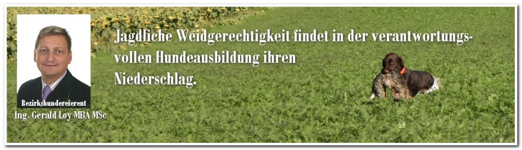 Der Jagdhund als unersetzlicher Helfer, OÖ LJV