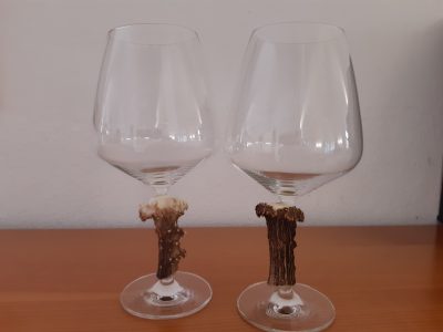Weingläser Schott