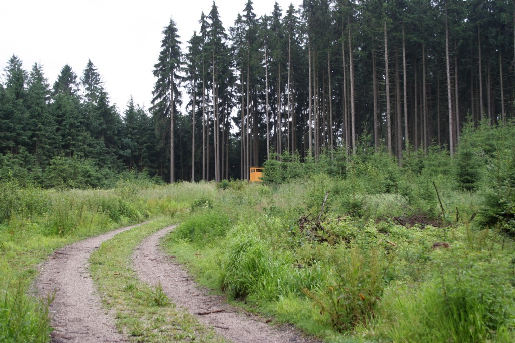 Wildeinfluss-Monitoring und Abschussplanung, OÖ LJV