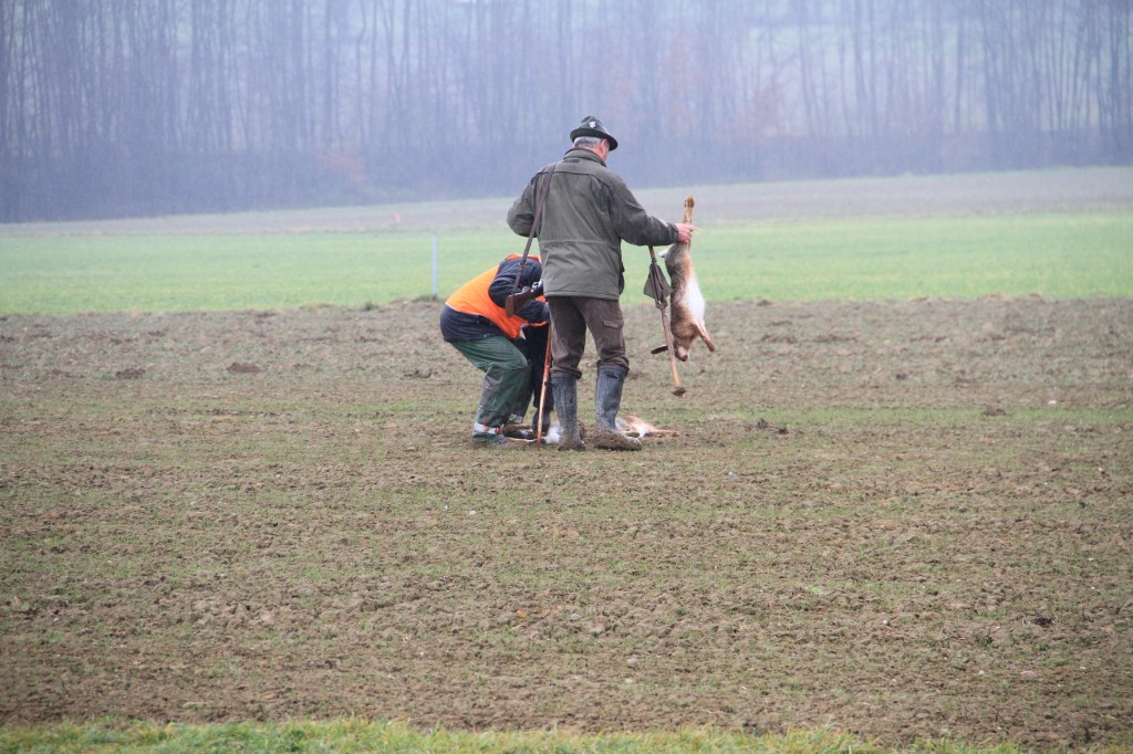 Integratives Wildtiermanagement und nachhaltige Jagd, OÖ LJV