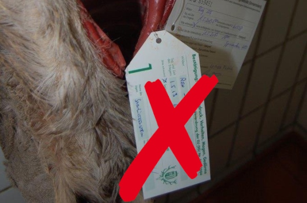 Wild aus freier Wildbahn, OÖ LJV