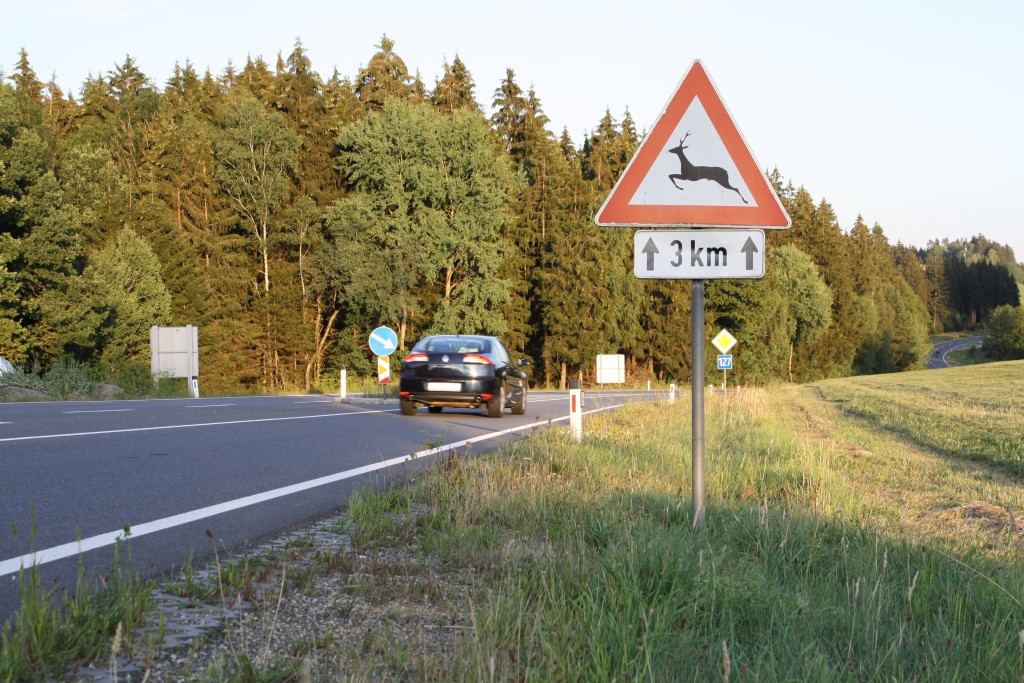 &#8222;Was ist los im Herbst?&#8220; Achtung Wildwechsel &#8211; Vorsicht im Straßenverkehr, OÖ LJV