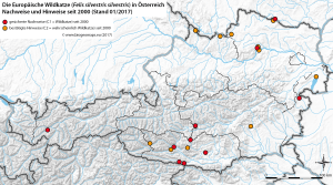 Wildkatzennachweise in Österreich_Gerngross