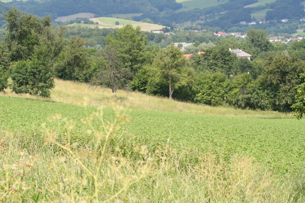 Natur- &#038; Umweltschutz, OÖ LJV