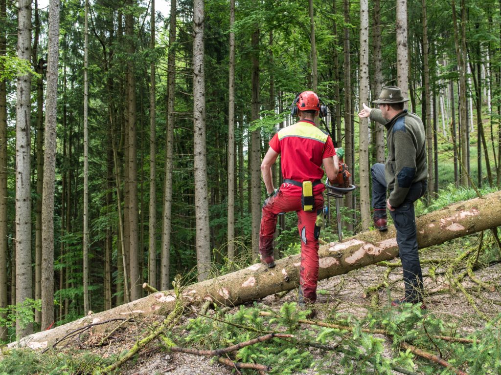 Klimafitte Wälder und nachhaltige Jagdwirtschaft – Zielkonflikte vermeiden, OÖ LJV