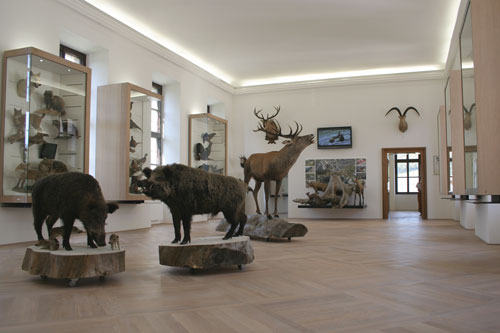Jagdmuseum Schloss Hohenbrunn &#8211; Geschlossen!, OÖ LJV
