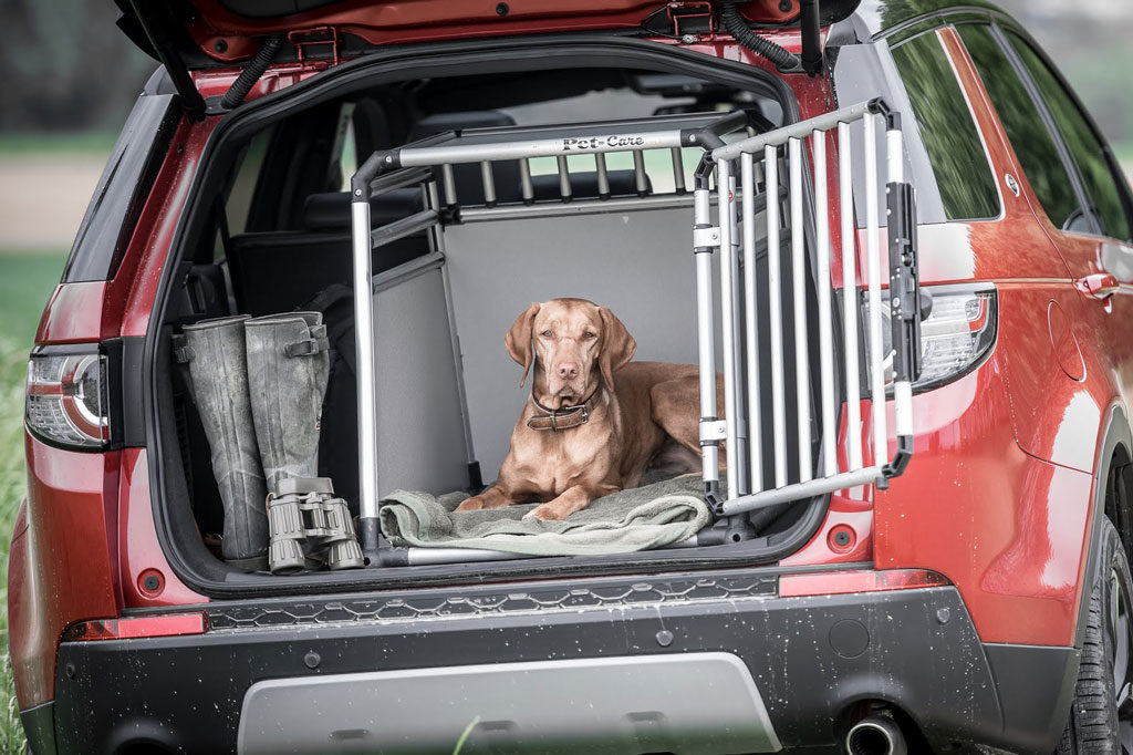 Mit dem Hund ins Ausland, OÖ LJV