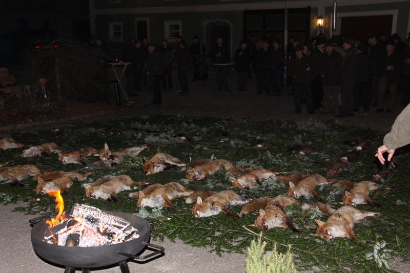 Raubwildstreckenlegung 2018, OÖ LJV