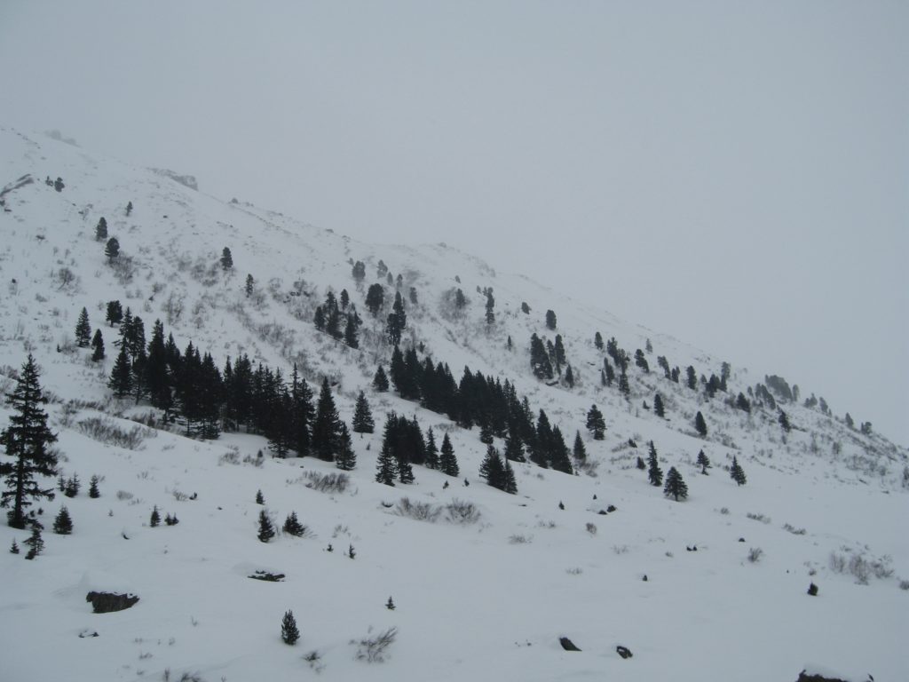 Wie die Schneeflocken zur Gefahr werden, OÖ LJV