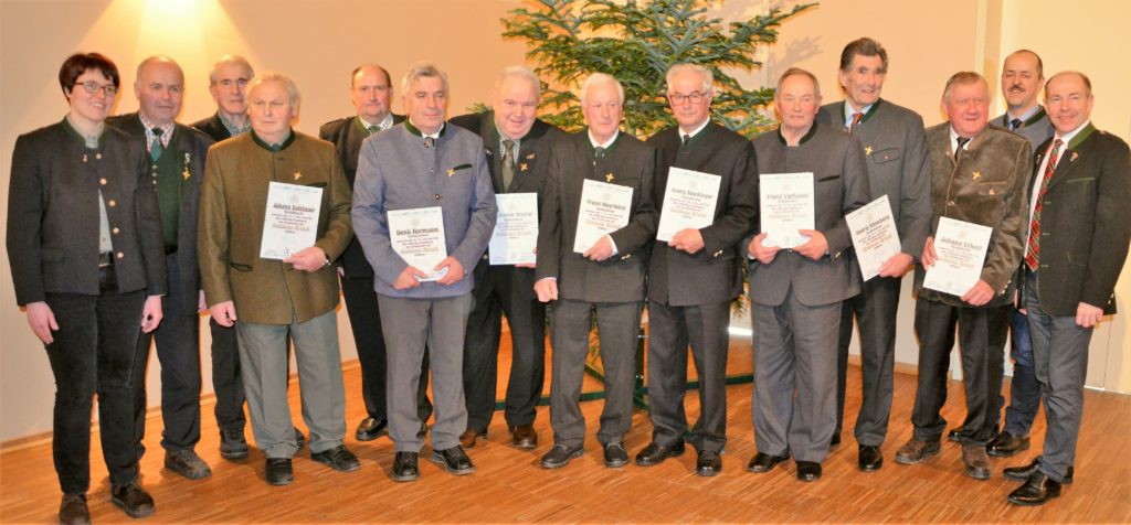 Goldene Brüche BJT Ried 2019