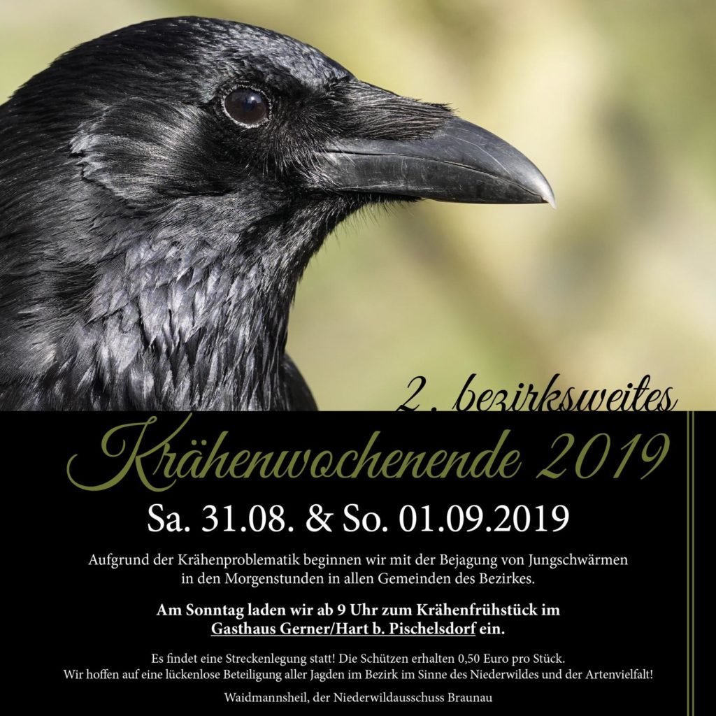 2. Krähenbejagung, OÖ LJV