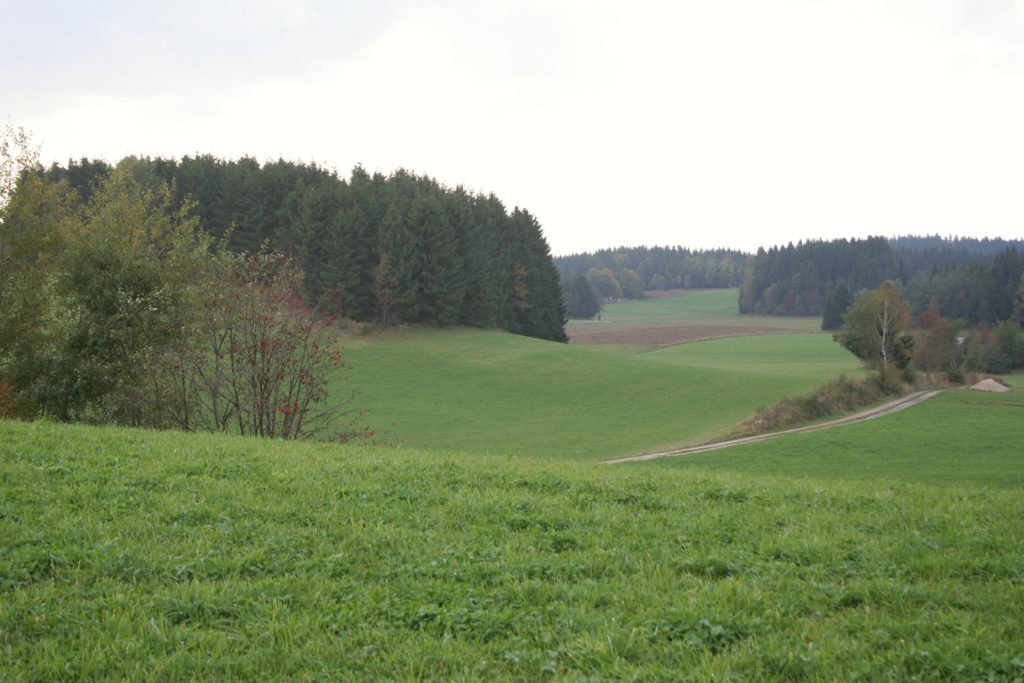 Betretungsrechte und Wegefreiheit im Jagdgebiet, OÖ LJV