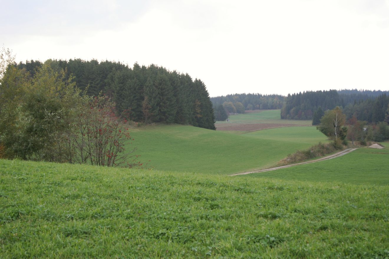 Betretungsrechte und Wegefreiheit im Jagdgebiet