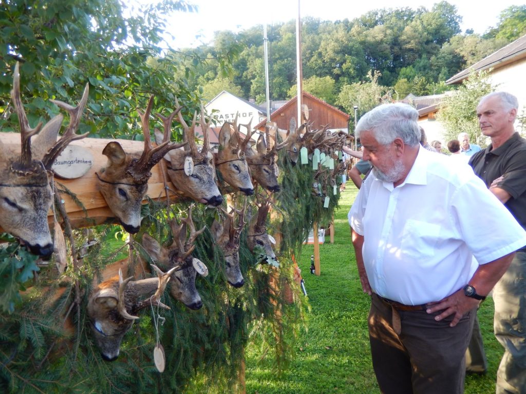 Bezirksstreckenlegung 2019, OÖ LJV