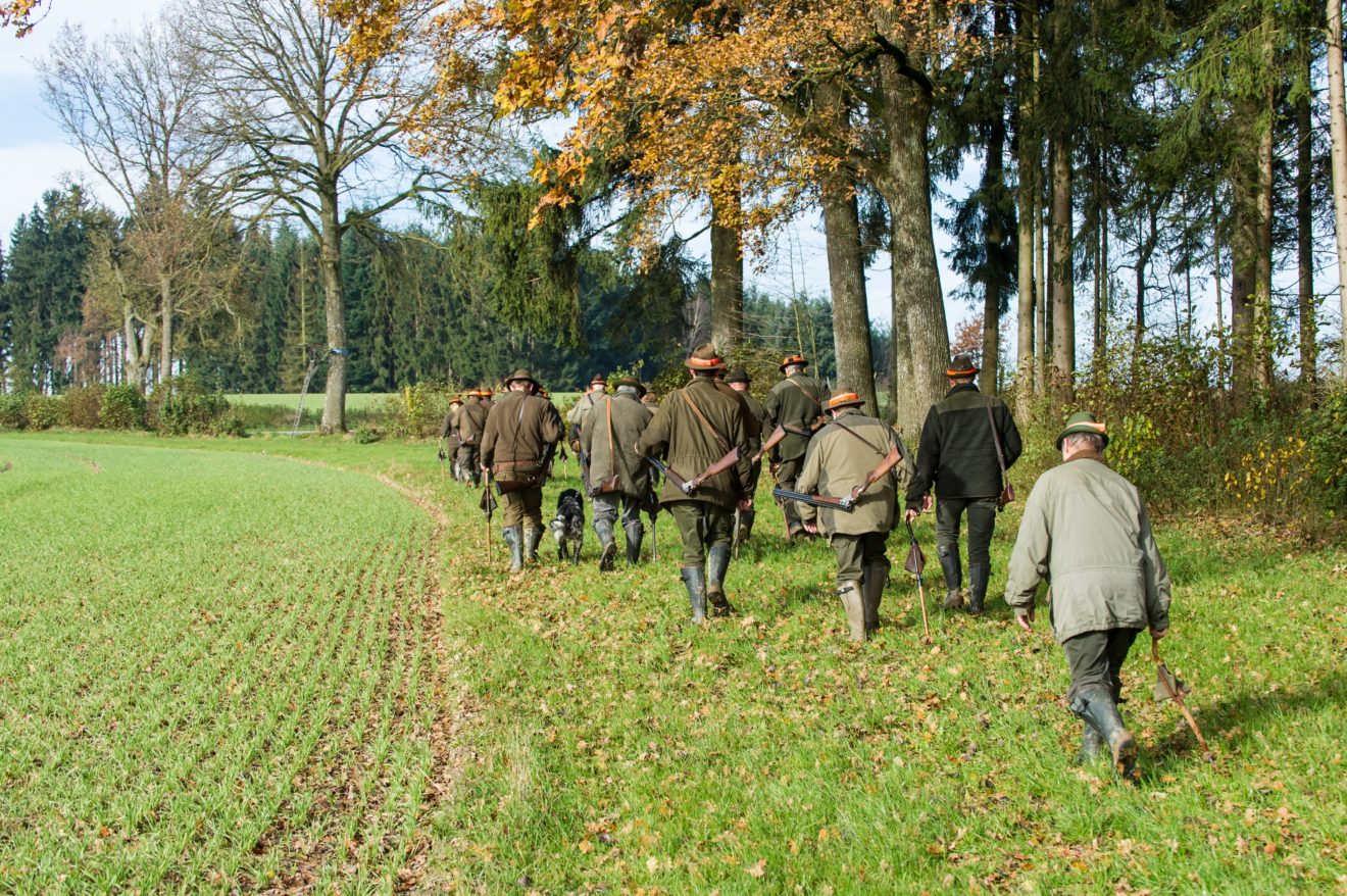 COVID-19-Merkblatt für Jägerinnen und Jäger