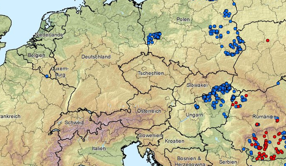 Afrikanische Schweinepest in Europa weiter auf dem Vormarsch, OÖ LJV