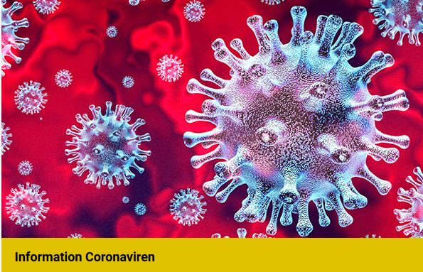 Coronavirus: Aktuelle Informationen für Jägerinnen und Jäger (Stand 29.09.2020)