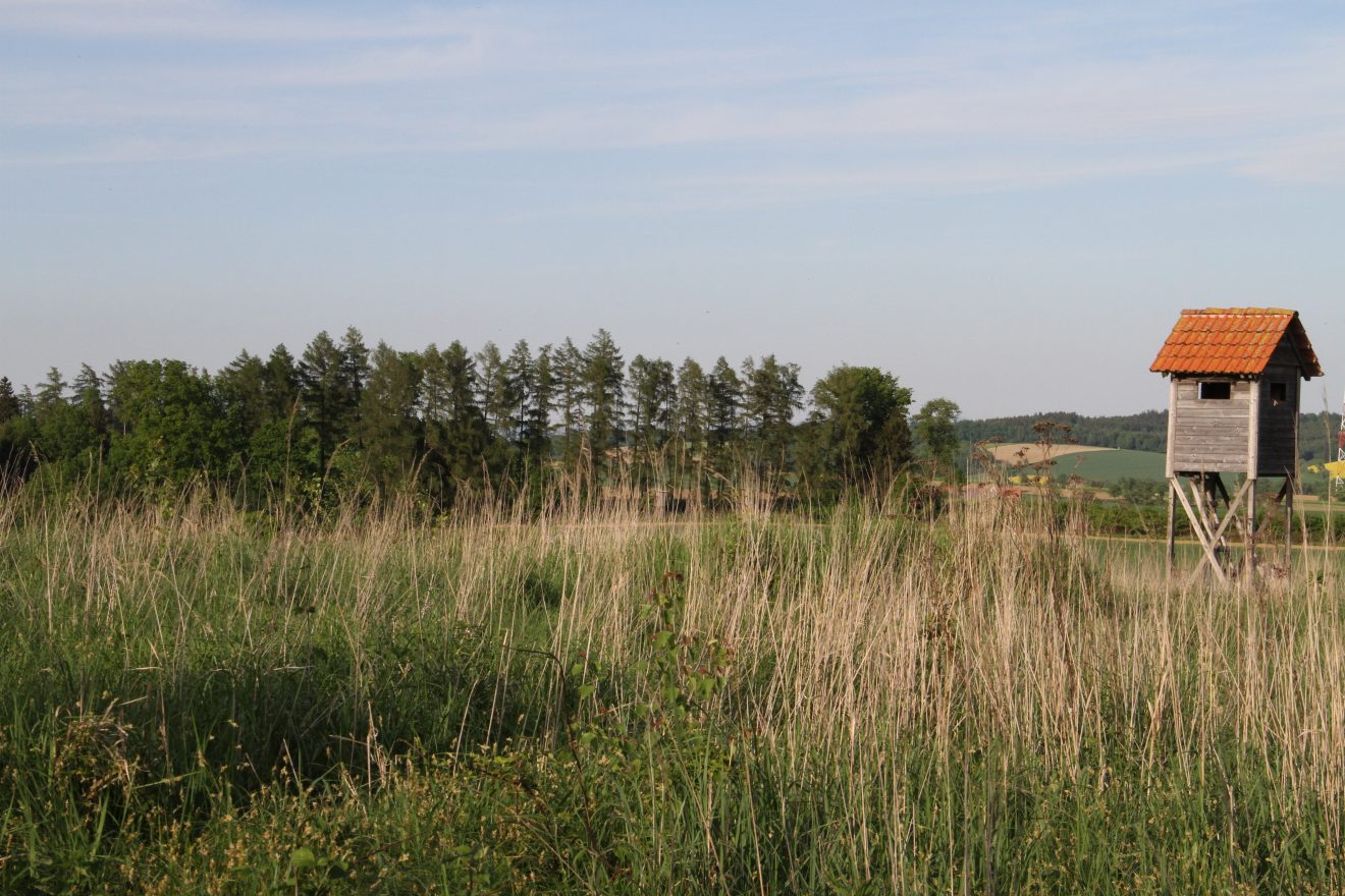 Jagdeinrichtungen - Errichtung, Erhaltung und Haftung