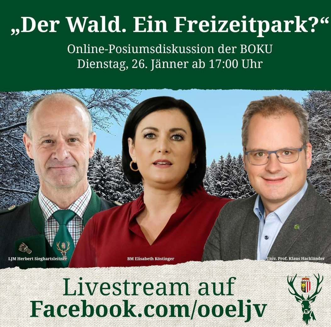 Der Wald. Ein Freizeitpark?