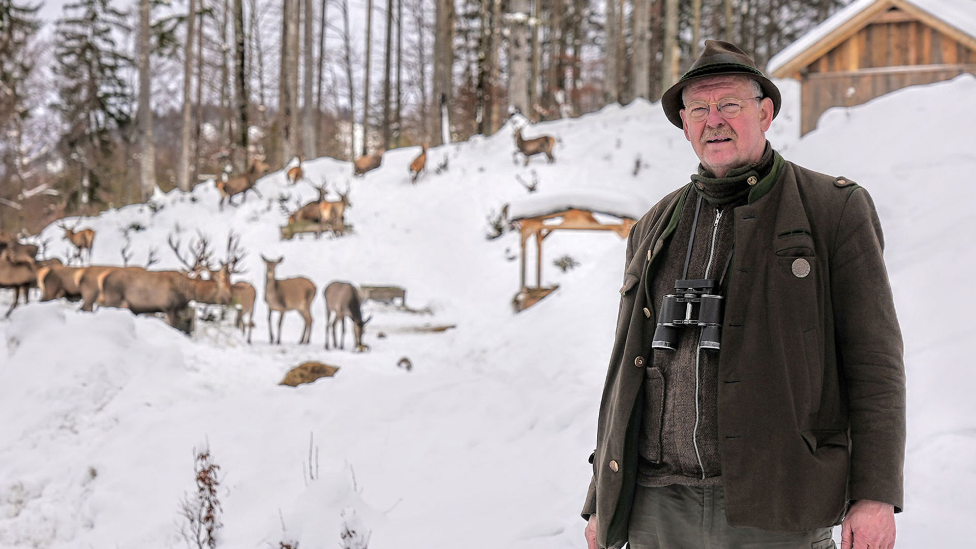 Wildfütterung Winter 2021_Neubacher