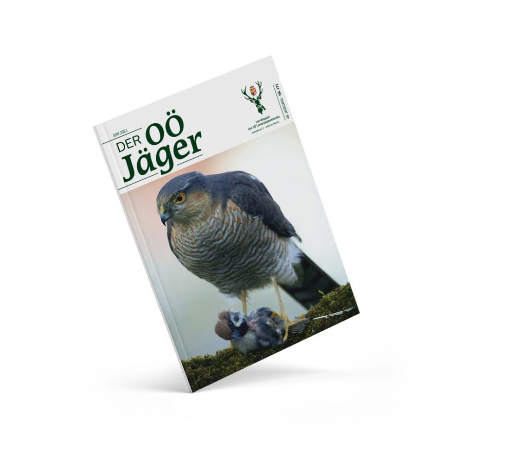 Aktuelle Ausgabe, OÖ LJV