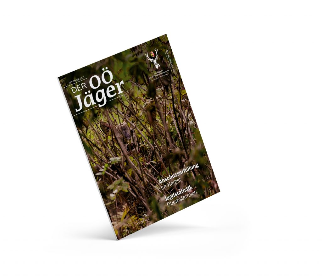 Aktuelle Ausgabe, OÖ LJV