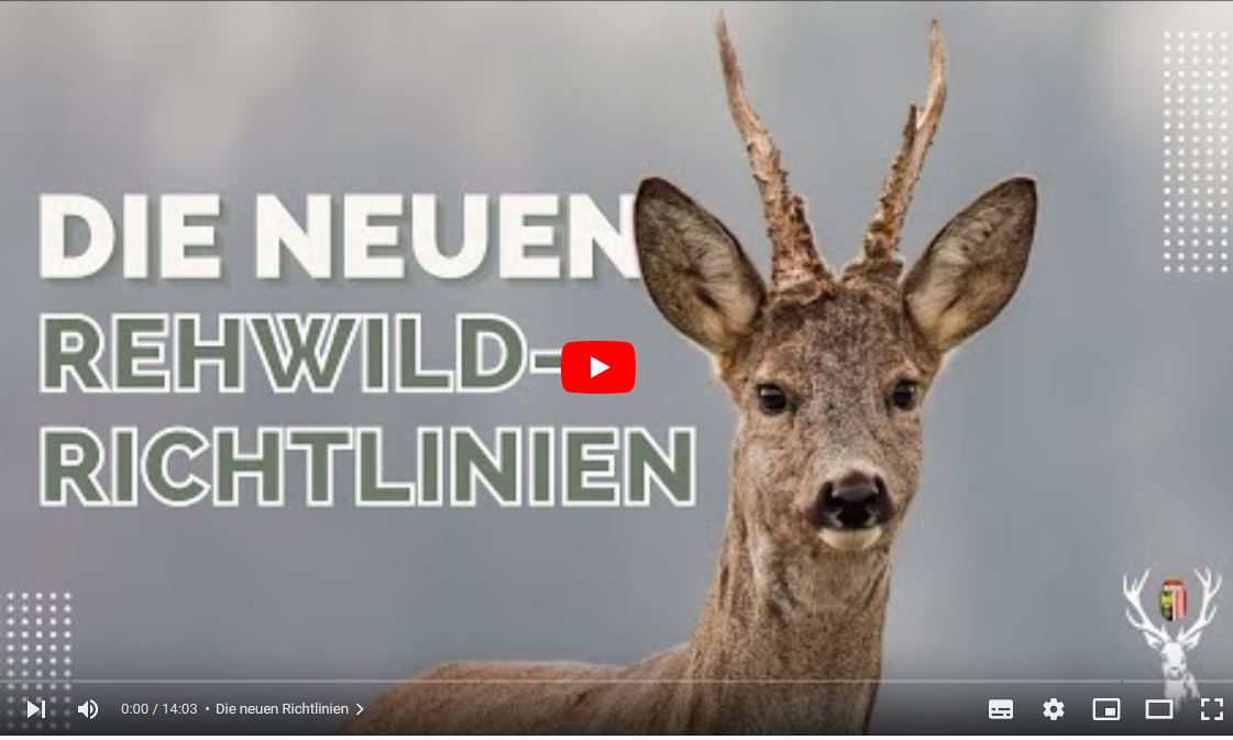 Rehwild Richtlinien