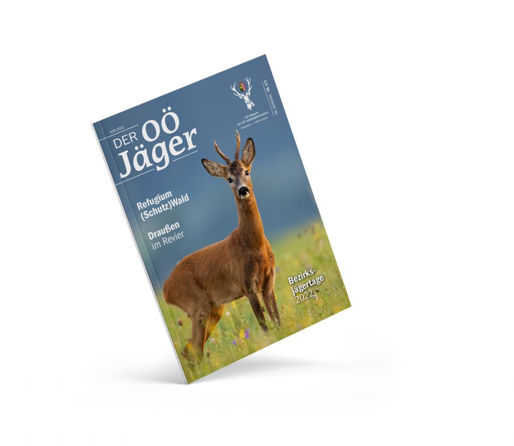 Aktuelle Ausgabe, OÖ LJV