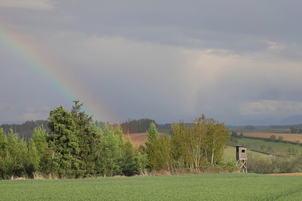 Auf der Jagd für den Klimaschutz, OÖ LJV