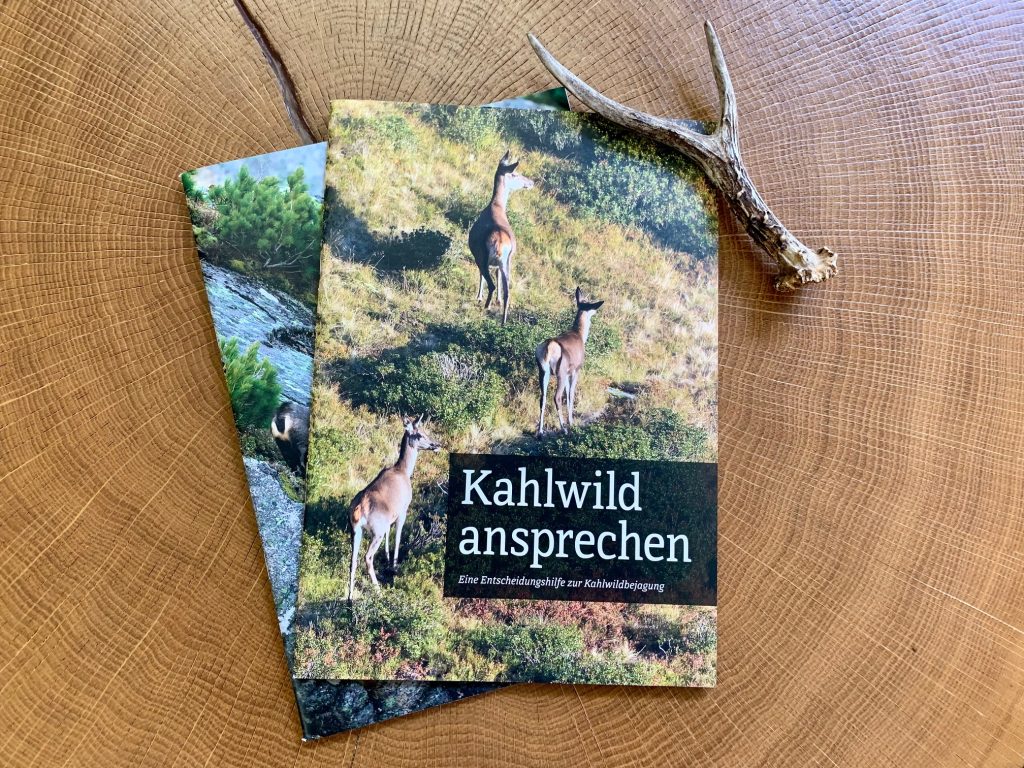 Kahlwild ansprechen