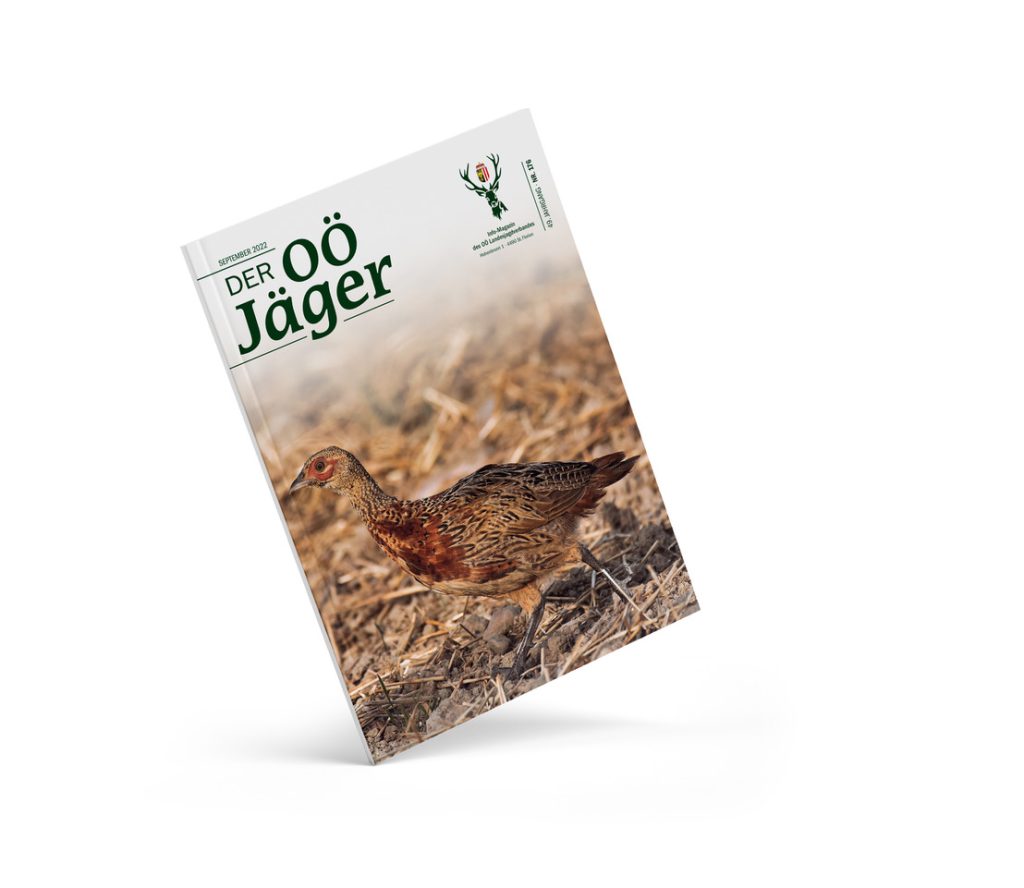 Aktuelle Ausgabe, OÖ LJV