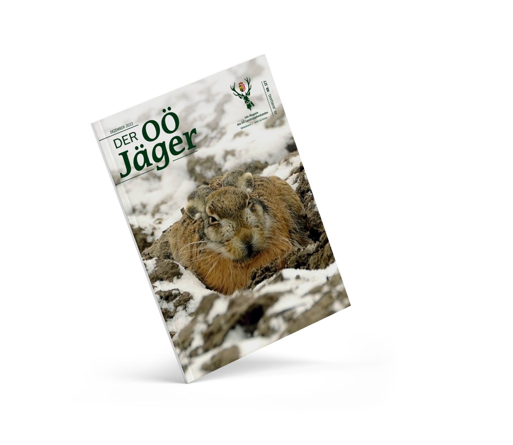 Aktuelle Ausgabe, OÖ LJV