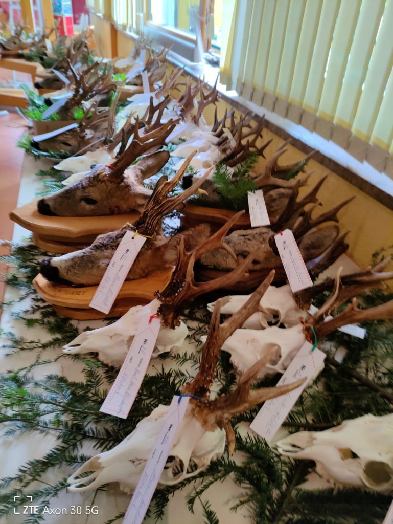 Trophäenvorlage, OÖ LJV