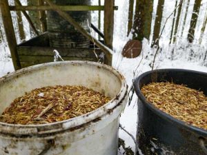 Jagdleiter Alois Hinterhölzl, seine größte Leidenschaft: die Jagd, OÖ LJV